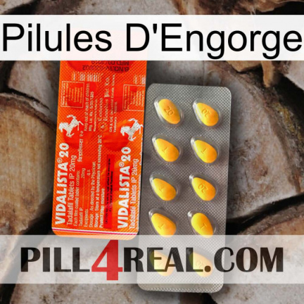 Engorge Pills new01
